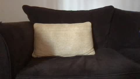 Dizzydig online show from 01-25-25, 05:08