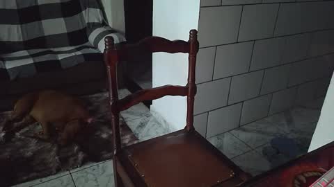 AmigodotadoZL online show from 04-25-26, 08:06