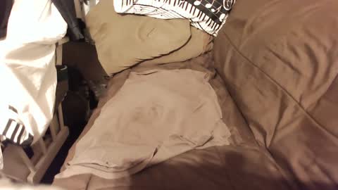 Snapshot of do4you2 chatting on 01-18-25, 02:23 do4you2 online show from 01-18-25, 02:23