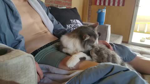 Snapshot of dommepleasemistress chatting on 03-22-26, 05:05 dommepleasemistress online show from 03-22-26, 05:05