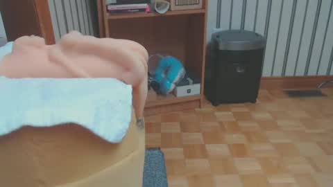 Snapshot of don_r55 chatting on 02-28-25, 08:18 Don online show from 02-28-25, 08:18