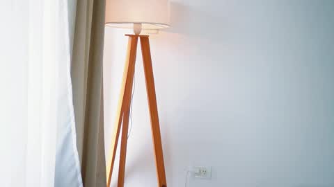 Snapshot of donnna19 chatting on 01-13-26, 11:37 Donatella online show from 01-13-26, 11:37