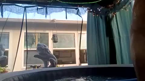 Snapshot of doobie1717 chatting on 09-28-25, 12:43 doobie1717 online show from 09-28-25, 12:43