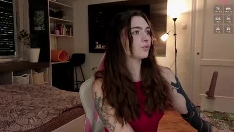 Snapshot of dorfmatratze_ chatting on 06-14-26, 05:09 Alice online show from 06-14-26, 05:09