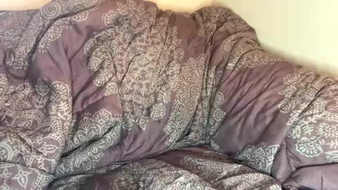 dove_love22 online show from 10-22-25, 06:18