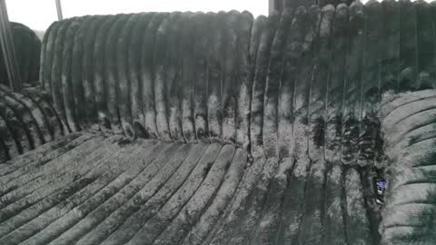 Draya Nicole online show from 03-09-25, 11:25