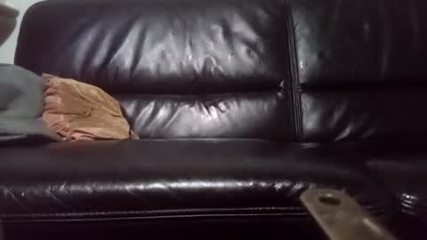 Carsten Tenberg online show from 02-20-25, 03:56