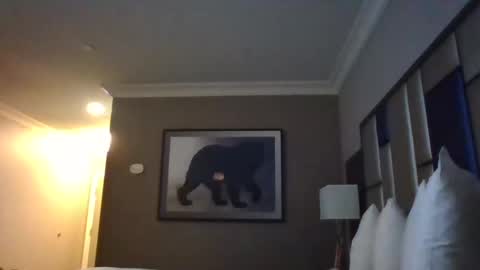 DreadedChefLoXXX online show from 03-03-25, 06:59