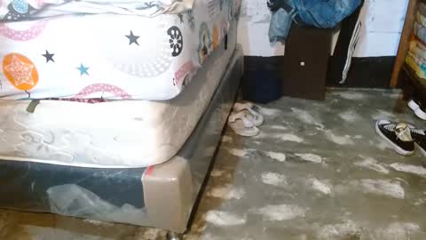 dreamreal online show from 03-29-26, 10:37