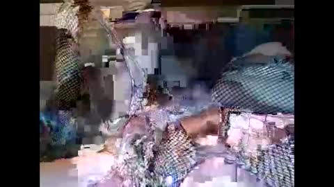 Snapshot of driver187 chatting on 12-19-24, 07:40 driver187 online show from 12-19-24, 07:40