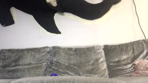 2xTheTrouble online show from 02-08-26, 03:21