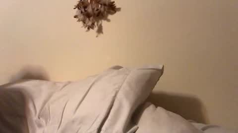 ducebabydee online show from 02-05-26, 05:56