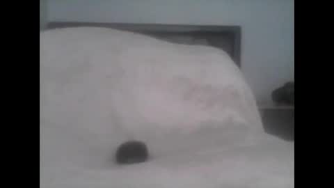 dudek0 online show from 11-01-25, 02:19