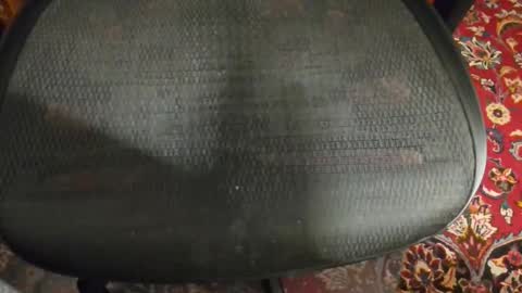 dudewipe online show from 02-07-26, 07:34