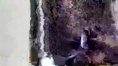  Sofia online show from 05-15-26, 11:06