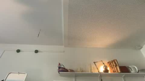 Dutch Stud online show from 08-01-26, 08:24