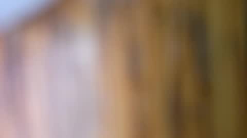 Snapshot of dvelope chatting on 09-10-25, 09:42 dVe1oPe online show from 09-10-25, 09:42