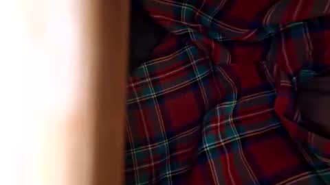 Snapshot of dvelope chatting on 11-08-25, 11:10 dVe1oPe online show from 11-08-25, 11:10