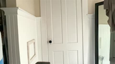 Dynasty online show from 12-17-25, 06:25