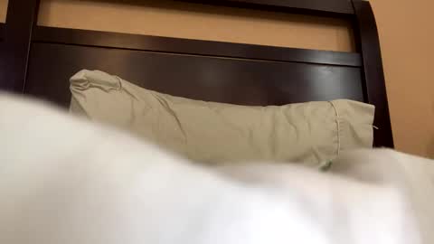 earl3232 online show from 02-14-26, 09:33