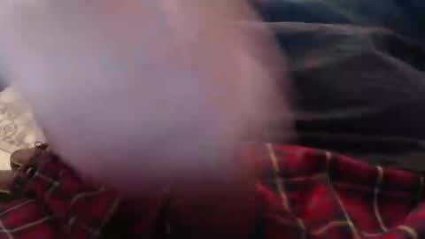 eat_a_peach2 online show from 03-04-26, 11:38