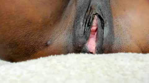 Ebony Prolapse online show from 03-06-26, 08:44