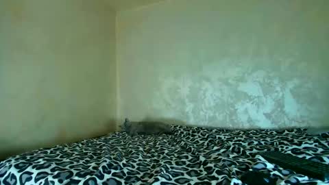 Nomyx  OF check online show from 11-20-25, 05:23