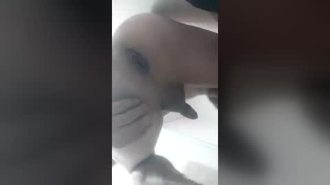eduardo76391 online show from 06-28-26, 04:29