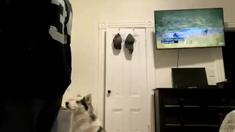 edvmendez1766 online show from 10-27-25, 05:33