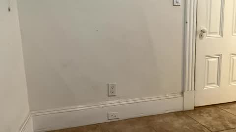 edvmendez1766 online show from 11-18-25, 03:23