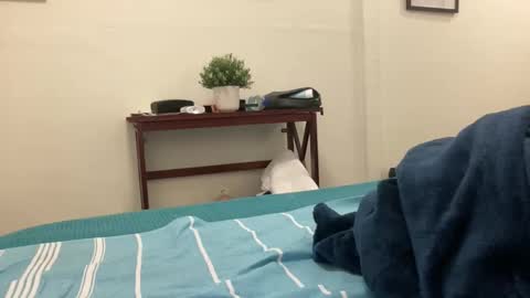 Snapshot of eel184 chatting on 03-10-26, 05:01 eel184 online show from 03-10-26, 05:01