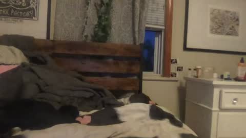 eggnog_and_booty online show from 07-27-26, 12:39
