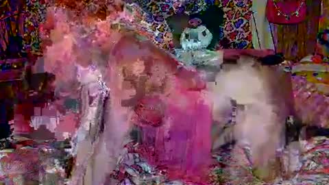 Sparkly Haile online show from 02-18-25, 03:42