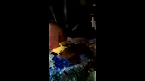 ehdgher online show from 02-27-26, 11:21