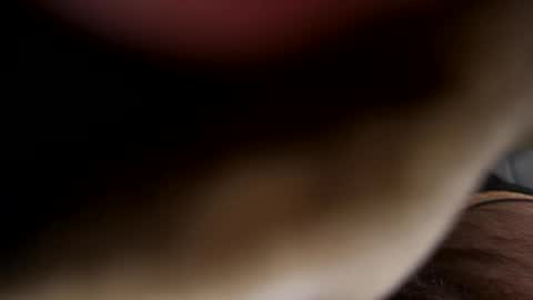 ehdgher online show from 04-21-26, 07:47