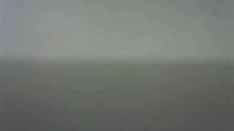 Snapshot of eider122 chatting on 02-22-26, 03:51 EIder online show from 02-22-26, 03:51