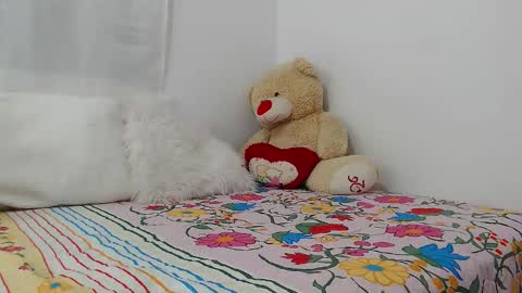 eileenmost online show from 12-19-24, 11:46