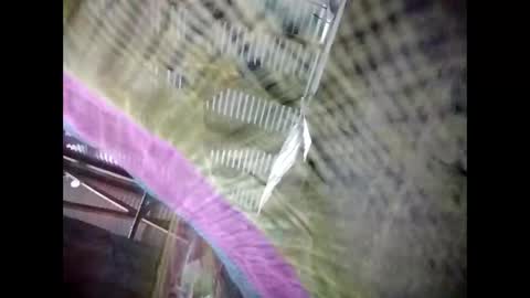 eirma7991 online show from 02-25-26, 10:30