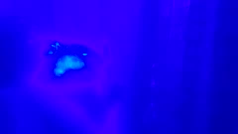 ThongLover6869 online show from 04-24-26, 05:32