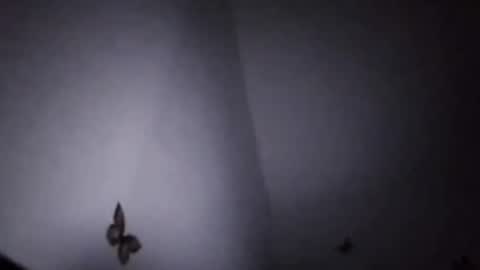 Snapshot of ekspansion chatting on 01-08-26, 04:37 Ekspansion online show from 01-08-26, 04:37