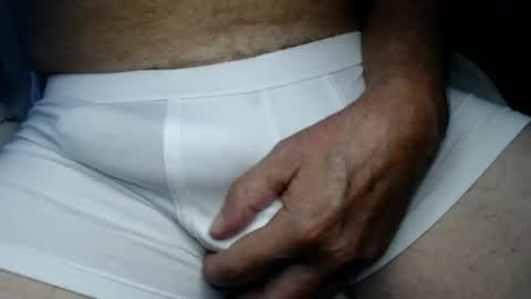 el gato lusty online show from 07-30-26, 11:20