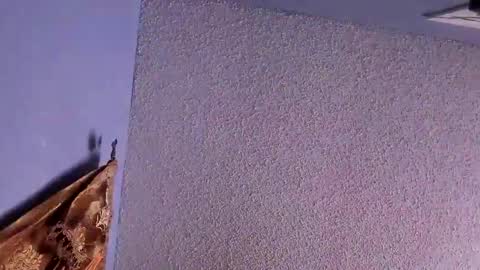 Snapshot of el_santo18 chatting on 02-07-25, 12:53 Santos online show from 02-07-25, 12:53