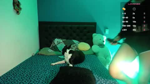 Snapshot of ela_0 chatting on 09-26-25, 03:10 Ela  Help me reach 100 thumbs up online show from 09-26-25, 03:10