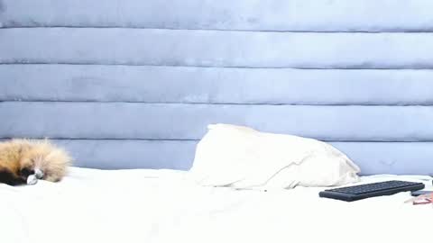 elaisaprincess online show from 02-11-25, 02:14