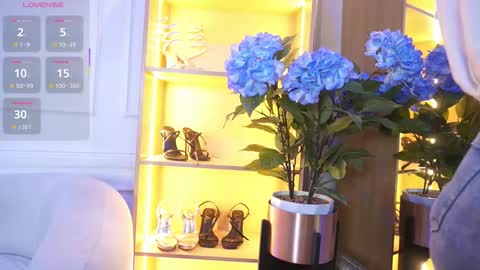 Elasummeer online show from 11-17-25, 12:00