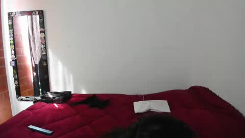 Electradevis2 online show from 01-19-25, 02:17