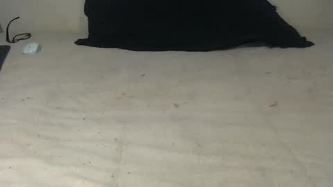 Snapshot of elgsslt chatting on 10-20-25, 10:49 elgsslt online show from 10-20-25, 10:49