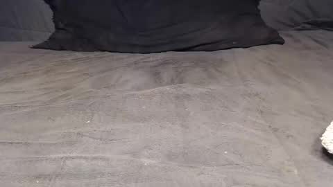 elgsslt online show from 04-04-26, 09:51