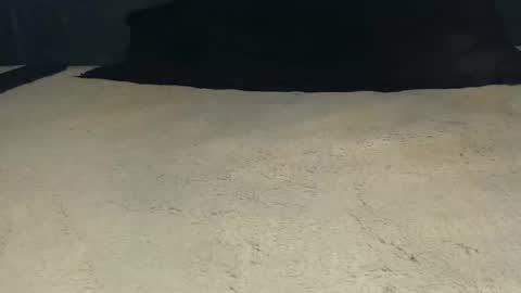 elgsslt online show from 04-21-26, 11:05