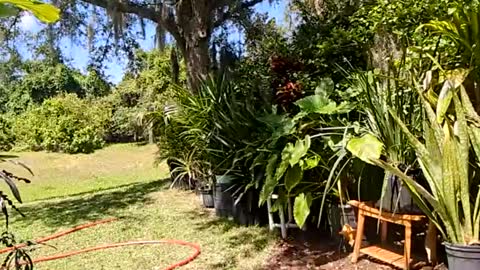 Snapshot of eliberator chatting on 05-16-26, 07:23 eliberator online show from 05-16-26, 07:23